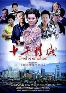 十二情感 十二情感