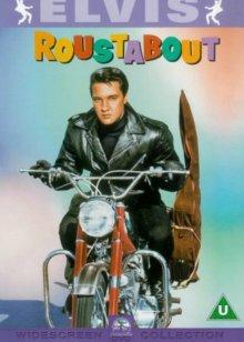 流浪歌手 流浪歌手