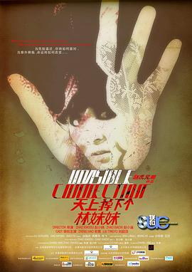 天上掉下個林妹妹2010 天上掉下個林妹妹2010