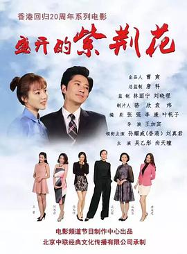 盛開的紫荊花 盛開的紫荊花