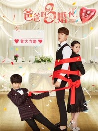 爸爸的3次婚禮 爸爸的3次婚禮