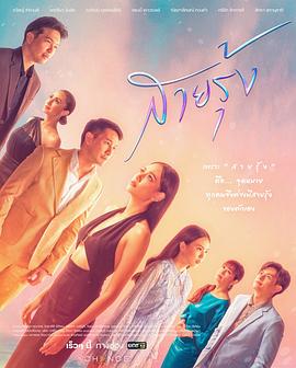 彩虹2022 彩虹2022