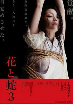 花與蛇3 花與蛇3