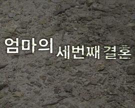 媽媽的第三次婚姻 媽媽的第三次婚姻