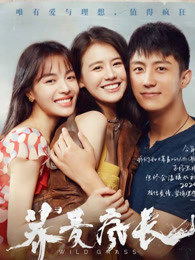 蕎麥瘋長 蕎麥瘋長