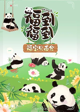 福到福到福寶見面會 福到福到福寶見面會