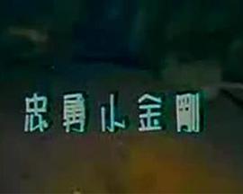 忠勇小金剛 忠勇小金剛