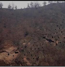 狩獵場(chǎng)·寄死窯 狩獵場(chǎng)·寄死窯