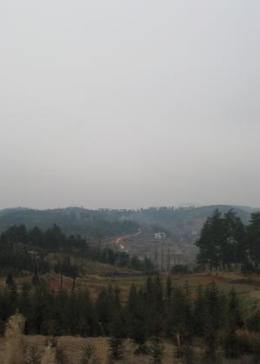 冬日2003 冬日2003