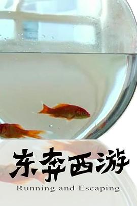 11度青春之《東奔西游》 11度青春之《東奔西游》