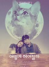 如何與我的貓分手 如何與我的貓分手