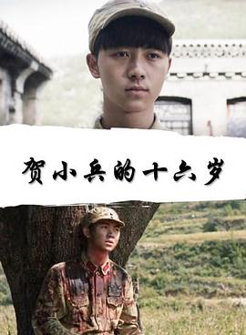 賀小兵的十六歲 賀小兵的十六歲