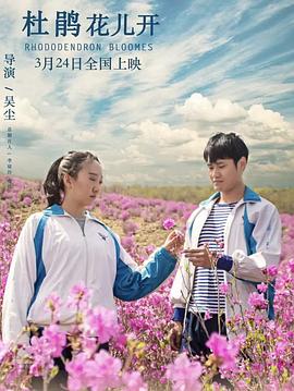 杜鵑花兒開 杜鵑花兒開