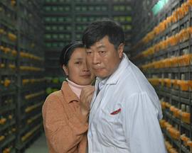 在這個(gè)家庭里 在這個(gè)家庭里